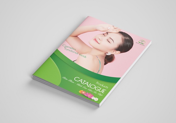 Thiết kế trang bìa của catalogue 