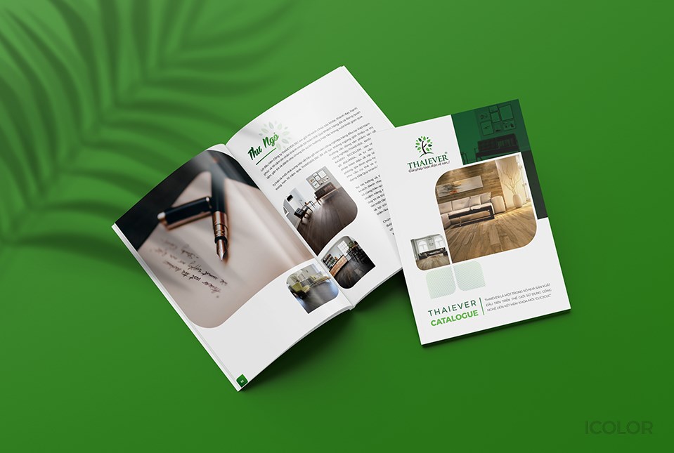 Các mẫu Brochure đẹp ấn tượng