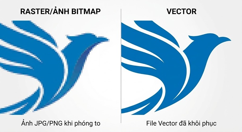 So sánh sự khác biệt giữa logo bị vỡ nét và logo vector sắc nét khi phóng to.