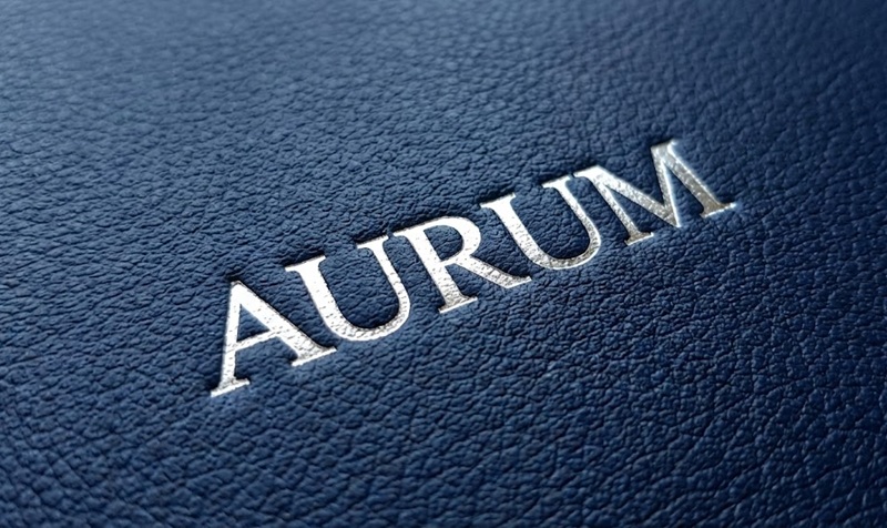 In bìa cứng ép kim logo nhũ bạc trên nền giả da.