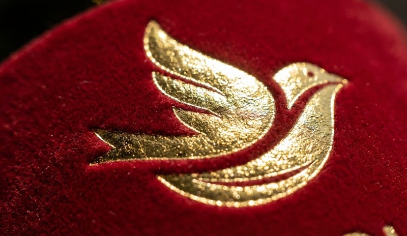 Tem yến sào ép kim vàng cao cấp.