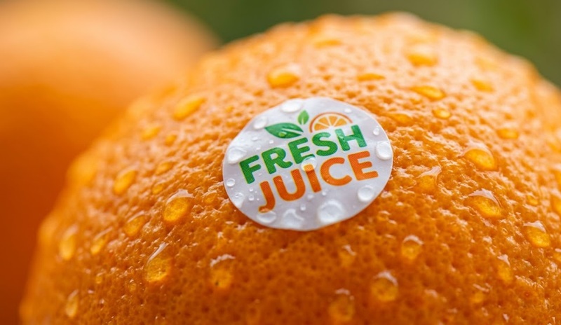 Cận cảnh in tem decal nhựa dán trực tiếp lên vỏ trái cây ướp lạnh chống nước.